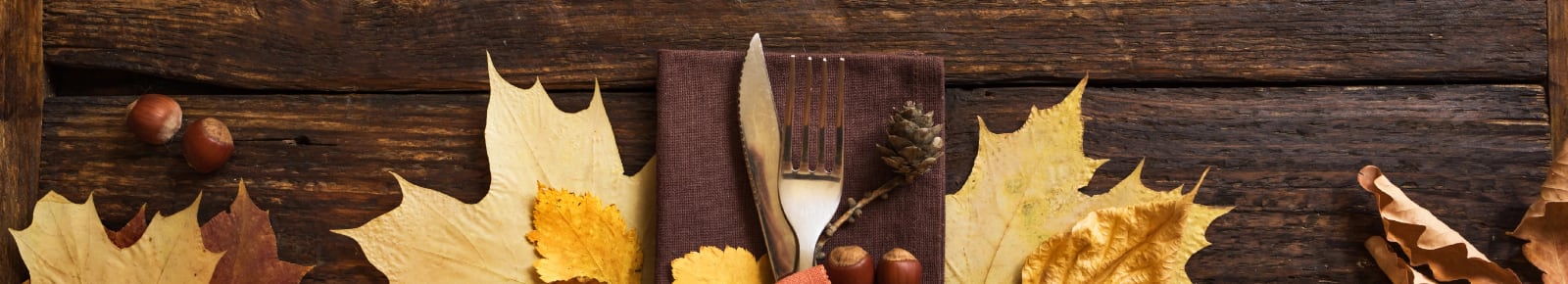 Thanksgiving Events Champaign