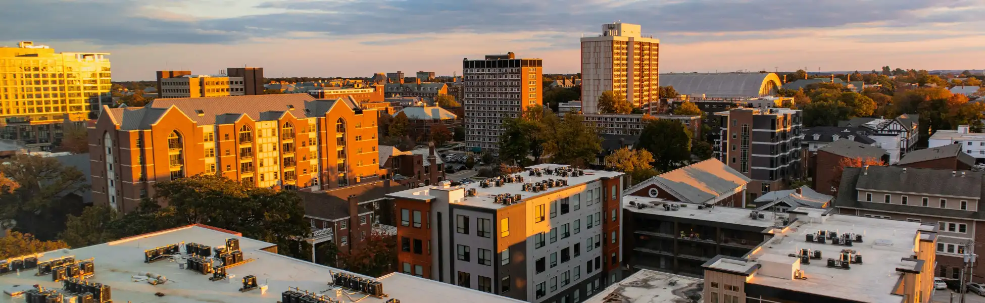 Neon color image of a band playing and people singing along